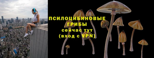 СК Ладушкин