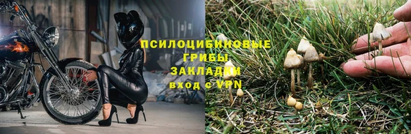 ECSTASY Лабытнанги