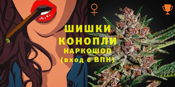 ECSTASY Лабытнанги
