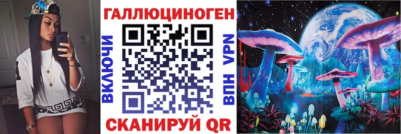 Псилоцибиновые грибы Psilocybine cubensis  blacksprut как зайти  Черноголовка 